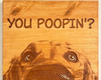 You Poopin’? Bathroom Sign.