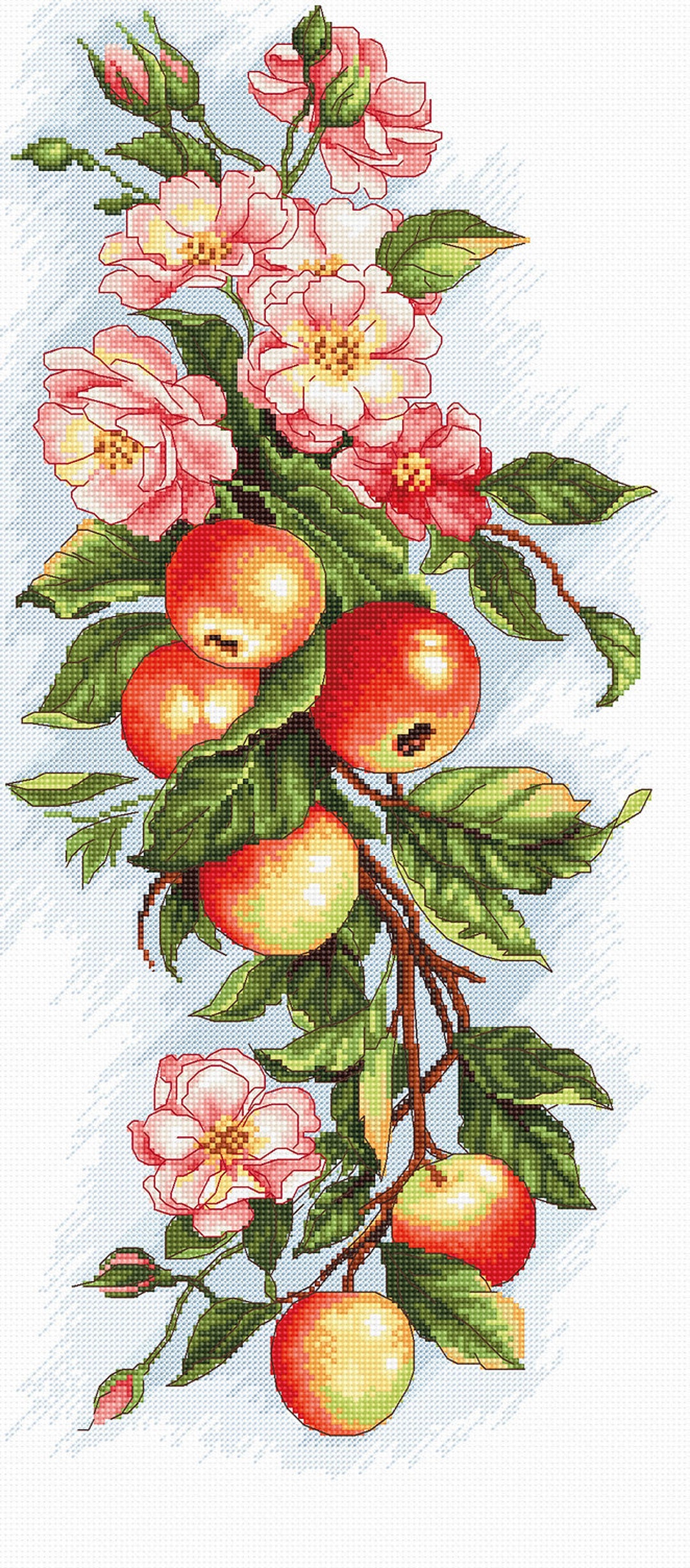 Cross Stitch Kit Luca-s - Composition With Apple, B211 - Etsy