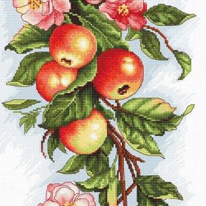 Cross Stitch Kit Luca-S - Composition with apple, B211