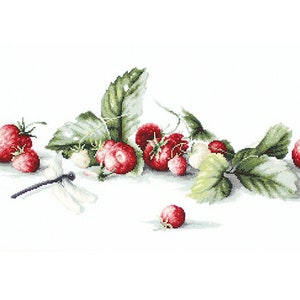 Kit Broderie Point De Croix Fleurs Et Citrons | Dimensions 17x39 Cm | Toile Aïda Et Fils Inclus