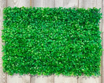 Boxwood Wall Panels - Bright