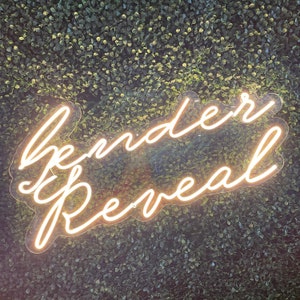 Gender Reveal Neon Sign - White