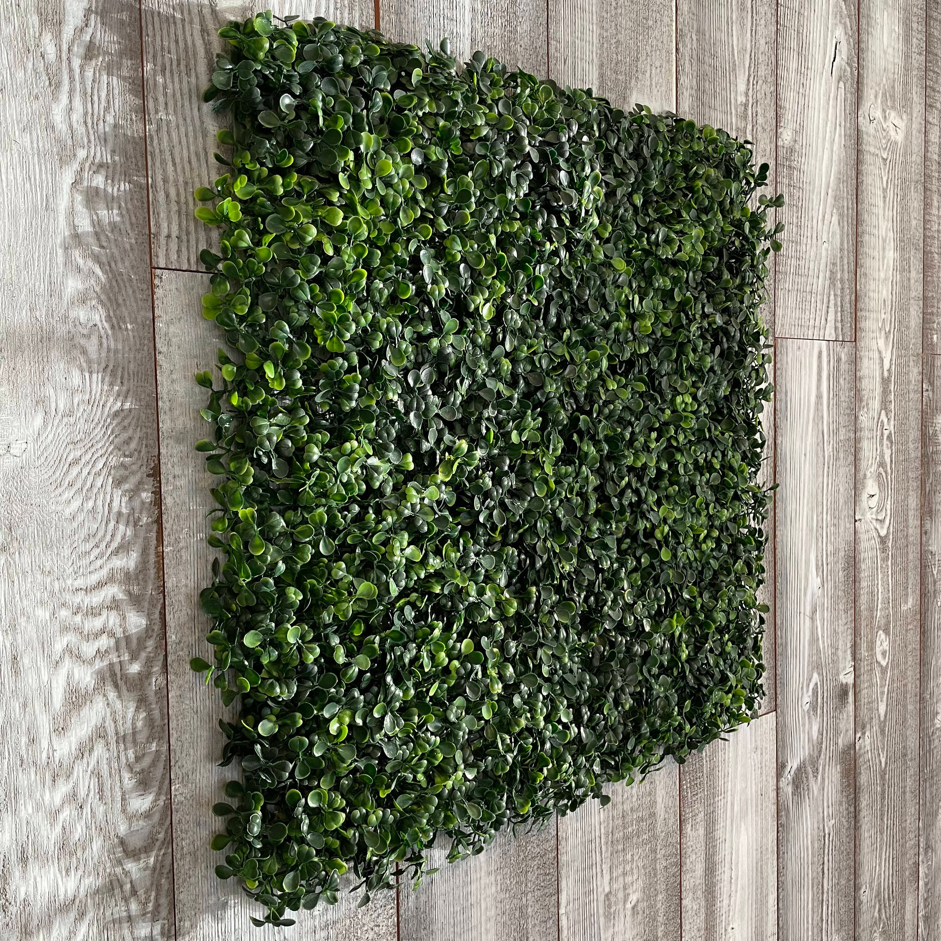 Boxwood Wall Panels - Original - Etsy