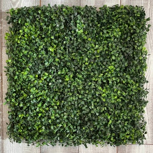 Boxwood Wall Panels - Original