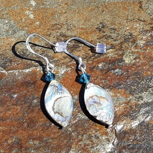 Shell Earrings