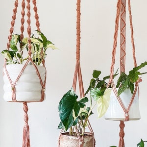 May include: Four macrame plant hangers in a light pink colour hanging from the ceiling with various plants in pots. The text "threads plant hangers" is at the top of the image.