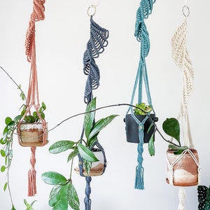 May include: Four macrame plant hangers with different coloured cords and tassels, each holding a potted plant. The hangers are suspended from hooks on a white wall.