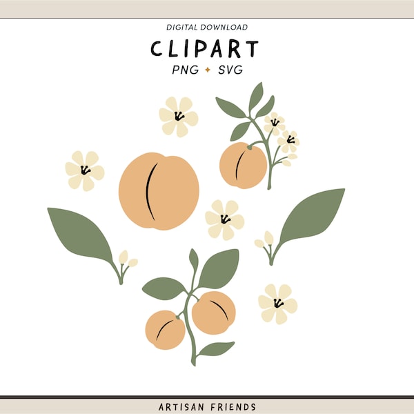 Flowers and Peaches PNG and SVG Bundle, Files for Cricut, SVG Illustration, Spring Clipart, Floral Png