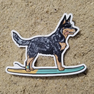 Cute Australian Cattle Dog surf sticker 2.0 (updated design)