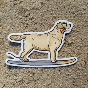 Cute yellow labrador surf sticker