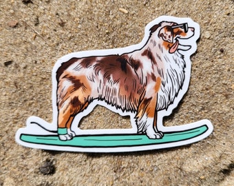 Cute Australian Shepherd Merle (red) surf sticker