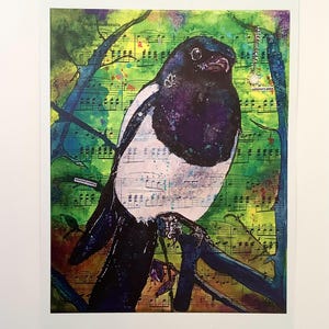 Pie espiègle imprime des cartes postales A5, A6 ou A6 avec enveloppe