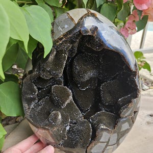 Large 17 LB Druzy Septarian Egg: Raw & Polished Dragon Stone, Quality Crystals