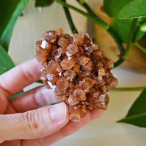 May include: A cluster of aragonite crystals, showcasing a warm, earthy brown hue with crystalline structures. The mineral is held in a hand, with green foliage in the background. The number 1 is visible in the lower right corner.