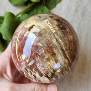 Quality Petrified Wood Sphere / Polished Petrified Wood Ball / Gifts for Her / Gifts for Him / Gifts for the Nature Lover