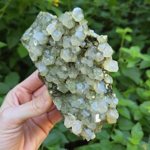 May include: A cluster of pale green, translucent quartz crystals with sharp, pointed terminations. The mineral specimen features a dense arrangement of hexagonal prisms growing from a dark, textured matrix base, displaying natural light reflections.