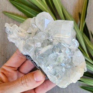 Quality Apophyllite Cluster / Raw Apophyllite Crystal with Peach Stilbite / Gifts for Her / Gifts for Mom / Natural Apophyllite Specimen