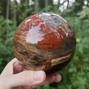 4 Inch Polished Petrified Wood Sphere: Large Fossil Crystal Decor, Madagascar