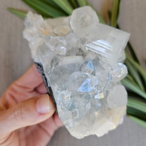 Quality Apophyllite Cluster / Raw Apophyllite Crystal with Peach Stilbite / Gifts for Her / Gifts for Mom / Natural Apophyllite Specimen