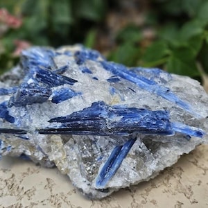 Wow! 10 LB Large Blue Kyanite in Quartz Crystal / Natural Blue Kyanite / Raw Kyanite Cluster / XL Blue Kyanite Crystal / Gifts for Him