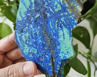 Polished Azurite Malachite Slab: Blue and Green Crystal Home Decor, Namibia