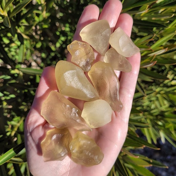 YOU Pick Libyan Desert Glass / Yellow Tektite / Raw Libyan Glass