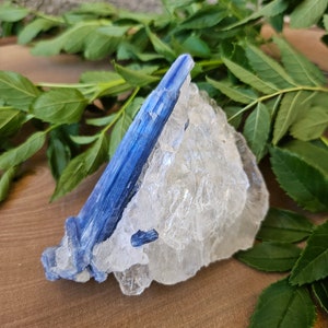 Quality Blue Kyanite in Quartz Specimen / Natural Blue Kyanite in Quartz / Raw Blue Kyanite Crystal