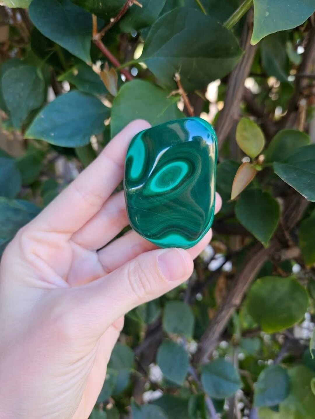 Small Malachite Freeform / Polished Malachite / Green Malachite Etsy