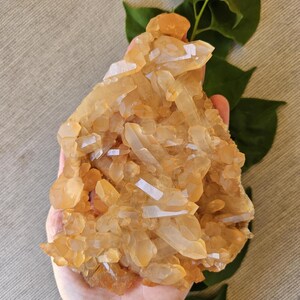 Extra Quality Tangerine Quartz Cluster / Raw Tangerine Quartz Crystal / Orange Quartz Cluster / Quality Quartz Crystal