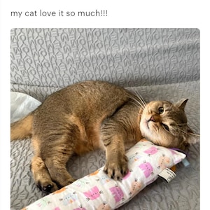 May include: A brown cat lying down and resting its head on a rectangular fabric toy. The toy features a white background with a repeating pattern of small, stylized pink, orange, and blue cats. A small white tag is visible on the side of the toy.