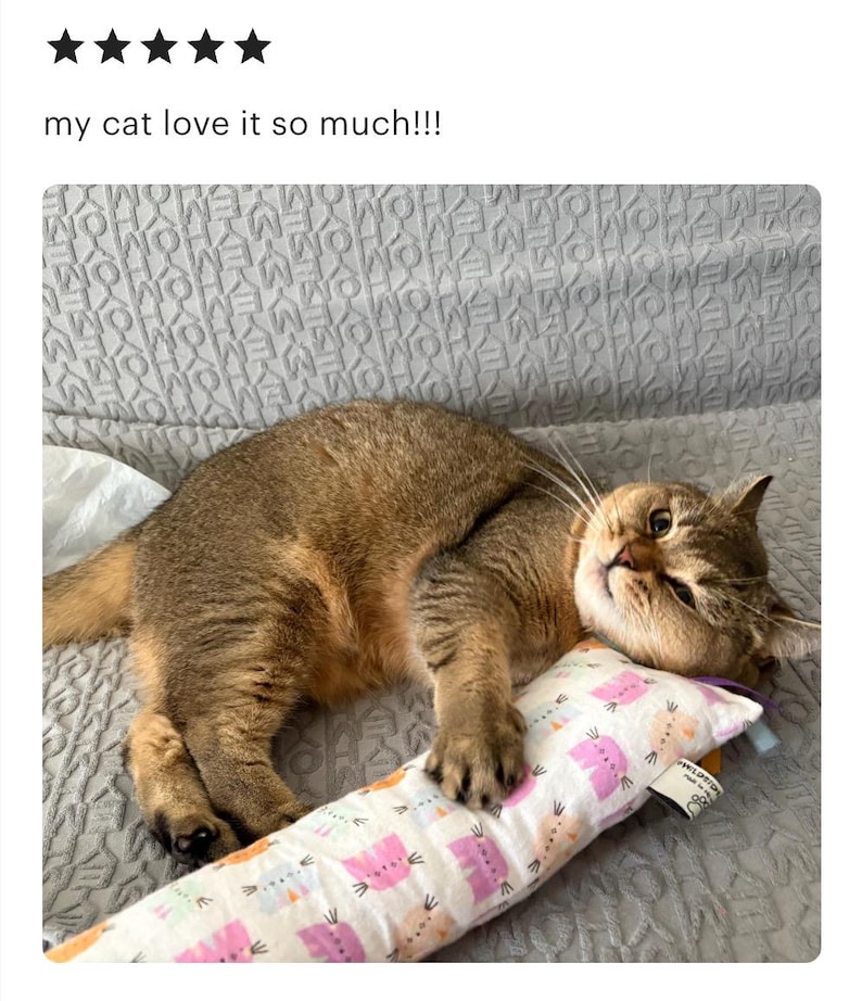 May include: A brown cat lying down and resting its head on a rectangular fabric toy. The toy features a white background with a repeating pattern of small, stylized pink, orange, and blue cats. A small white tag is visible on the side of the toy.
