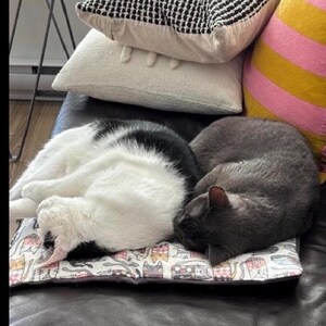 Op de afbeelding: Een zwart-witte kat en een effen grijze kat slapen opgerold samen op een rechthoekige huisdiermat. De mat heeft een herhalend patroon van kleurrijke ge&iuml;llustreerde katten. De katten rusten op een donker oppervlak met diverse kussens.