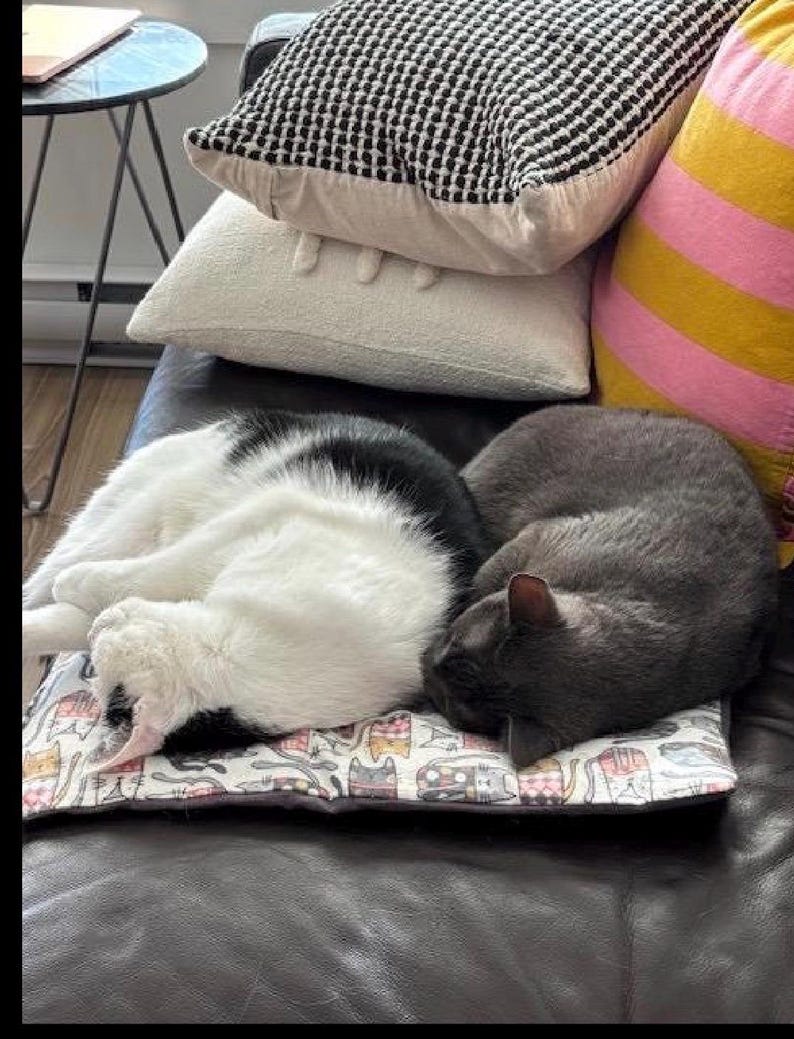 Op de afbeelding: Een zwart-witte kat en een effen grijze kat slapen opgerold samen op een rechthoekige huisdiermat. De mat heeft een herhalend patroon van kleurrijke ge&iuml;llustreerde katten. De katten rusten op een donker oppervlak met diverse kussens.