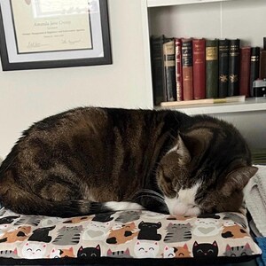 Op de afbeelding: Een bruine en zwarte cyperse kat slaapt op een rechthoekig kussen met een herhalend patroon van gestileerde kattengezichten in diverse kleuren, waaronder zwart, wit, grijs en oranje op een lichtbeige achtergrond.