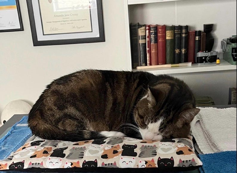 Op de afbeelding: Een bruine en zwarte cyperse kat slaapt op een rechthoekig kussen met een herhalend patroon van gestileerde kattengezichten in diverse kleuren, waaronder zwart, wit, grijs en oranje op een lichtbeige achtergrond.