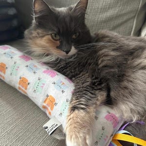 May include: A rectangular white fabric toy featuring a repeating pattern of small orange, pink, and light blue cat faces. The toy includes a white fabric tag with the text WILDSTO and several colorful ribbons attached to one end.