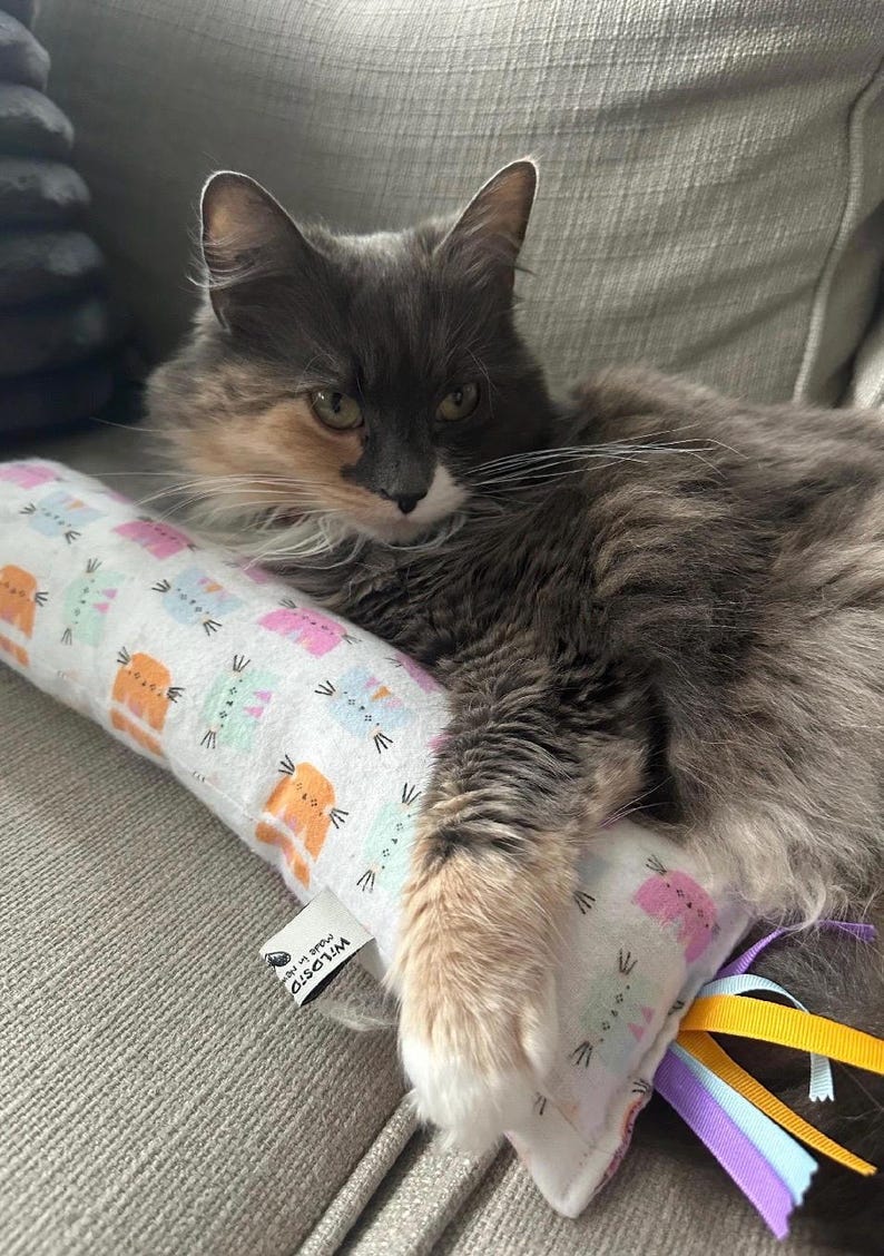 May include: A rectangular white fabric toy featuring a repeating pattern of small orange, pink, and light blue cat faces. The toy includes a white fabric tag with the text WILDSTO and several colorful ribbons attached to one end.