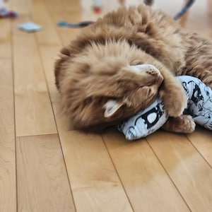 Handmade Catnip Kicker Toy, Crinkle & Ribbon, Fun Fabrics image 20