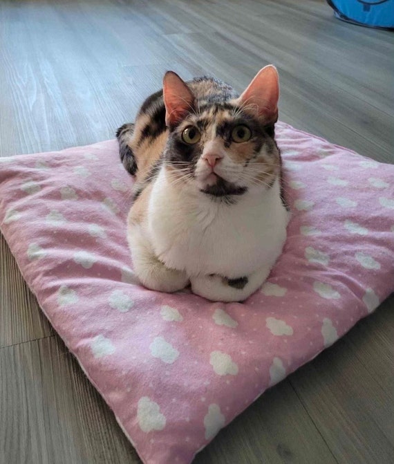 Catnip bed outlet