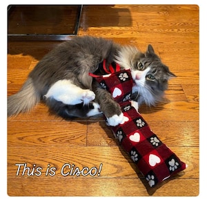 May include: A long, rectangular cat toy featuring a red and black buffalo plaid pattern with white heart and grey paw print motifs. The toy has a small red ribbon loop at the top. The text "This is Cisco!" is printed in the lower left corner.