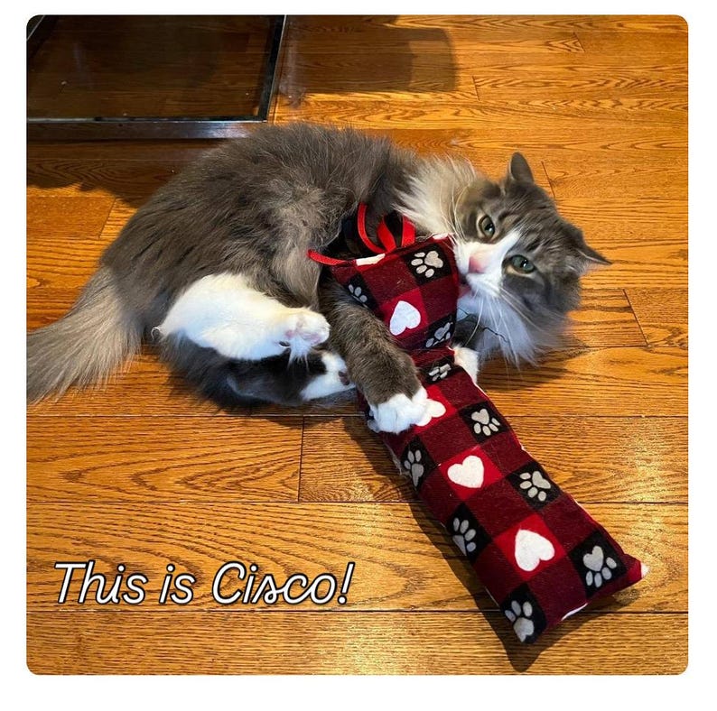 May include: A long, rectangular cat toy featuring a red and black buffalo plaid pattern with white heart and grey paw print motifs. The toy has a small red ribbon loop at the top. The text "This is Cisco!" is printed in the lower left corner.