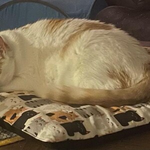 Op de afbeelding: Een witte en oranje kat slaapt op een rechthoekig huisdierkussen. Het kussen heeft een herhalend patroon van gestileerde zwarte, grijze en oranje kattengezichten op een witte achtergrond met een effen zwarte rand aan de onderkant.