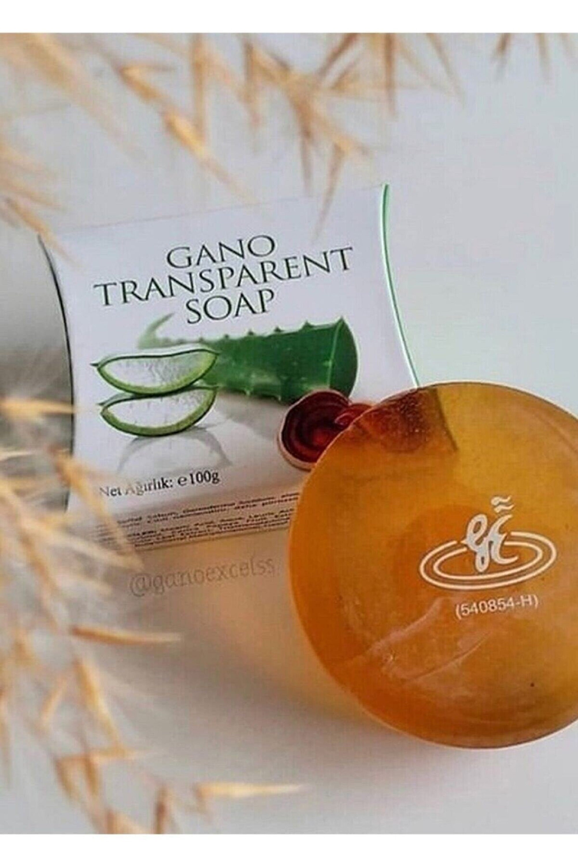 GANO TRANSPARENT SOAP Bar Soap Natural Soap Face Care Soap Aloe Vera Papaya Plant Etsy