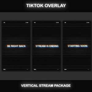 TikTok Live Overlay Pack, Vertical Pixelated Retro TV VHS Style with Glitch Text Screens, Animated Stream Layout for Mobile Streaming