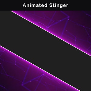 Pink and purple neon stinger transition design with two diagonal glowing bands, bright magenta edge lighting and a geometric digital network texture used as the visual transition between stream scenes.