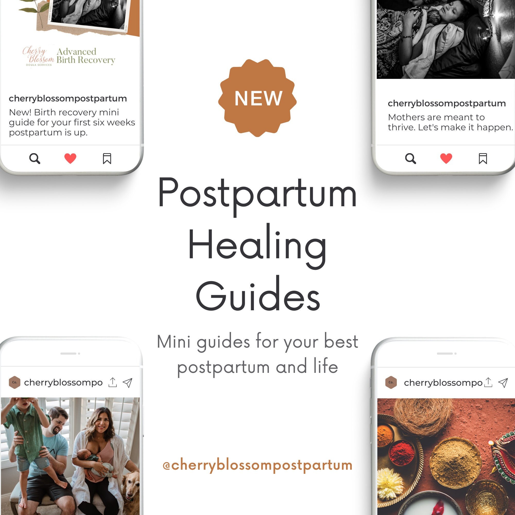 Prepared Postpartum A Holistic Postpartum Planning Guide Now With