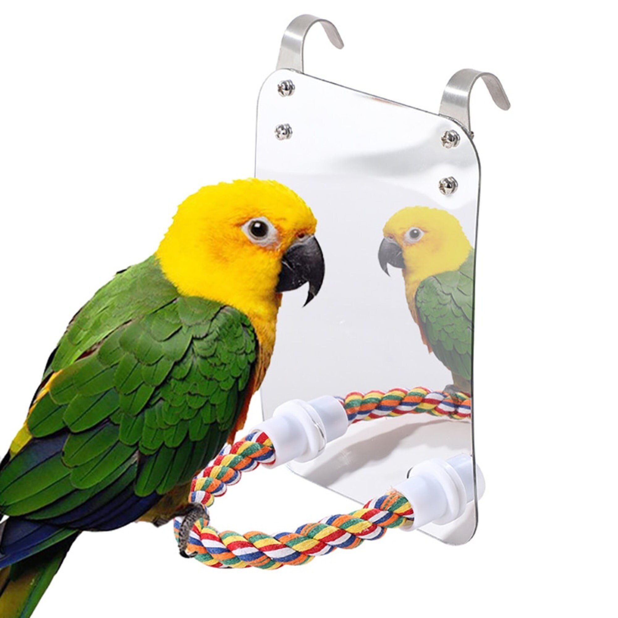 rope perches for parrots