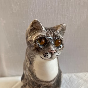 Kitten, Winstanley 1