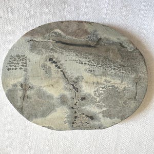 Dendritic Limestone: 'Treasure Map' Stone