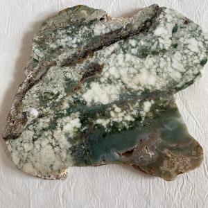 Magnaprase